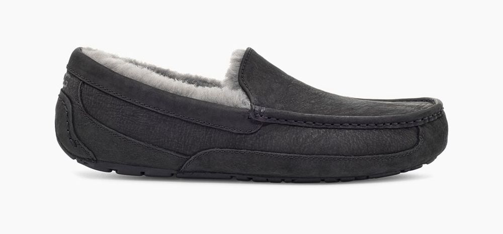 Ugg Ascot - Mens Slippers - Black - NZ (4957WXUGY)